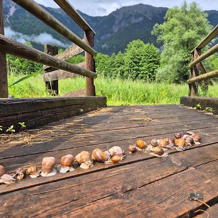 Gaestehaus Seewinkel Прессеггер-Зе Экстерьер фото